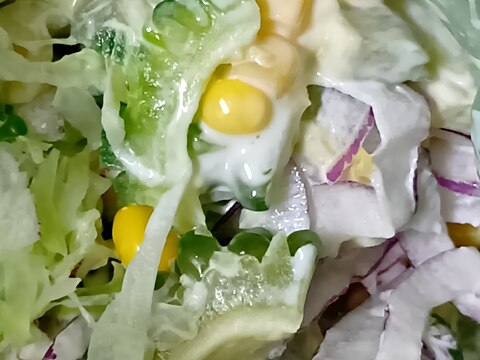 ゴーヤ de サラダ